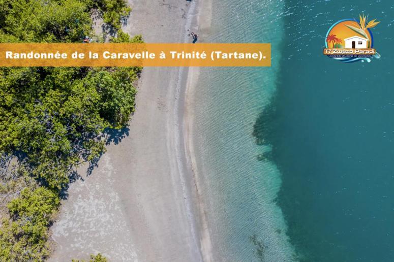 F3 Hibiscus - Piscine Chauffee - Vue Mer - 9 Min De La Plage - Ti Zwezo Paradi La Trinité Exteriör bild