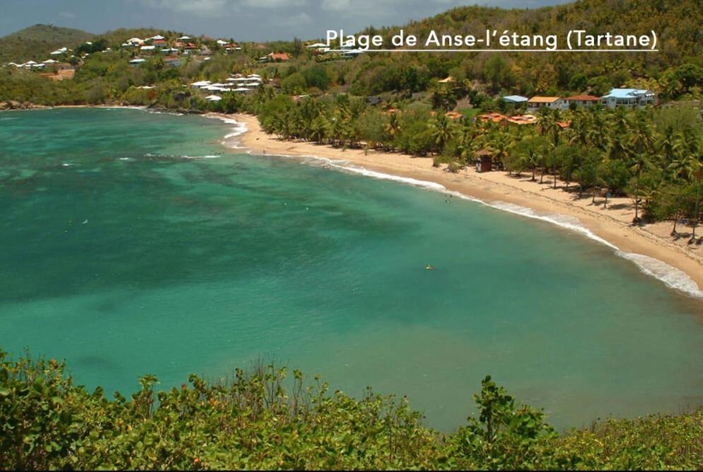 F3 Hibiscus - Piscine Chauffee - Vue Mer - 9 Min De La Plage - Ti Zwezo Paradi La Trinité Exteriör bild