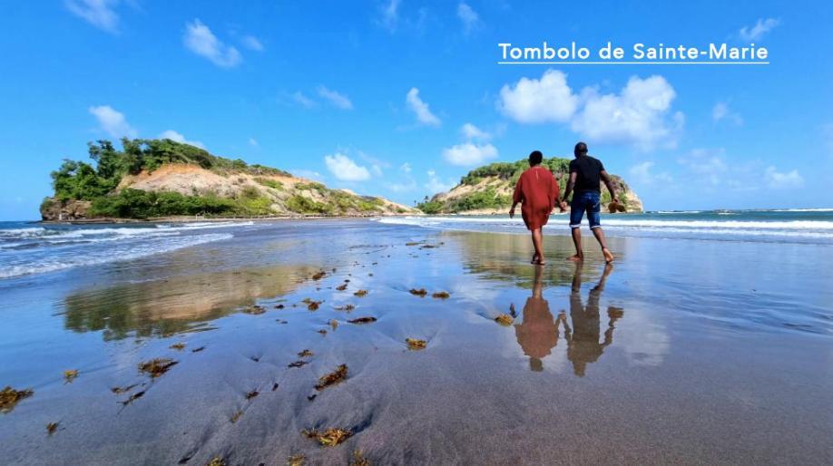 F3 Hibiscus - Piscine Chauffee - Vue Mer - 9 Min De La Plage - Ti Zwezo Paradi La Trinité Exteriör bild