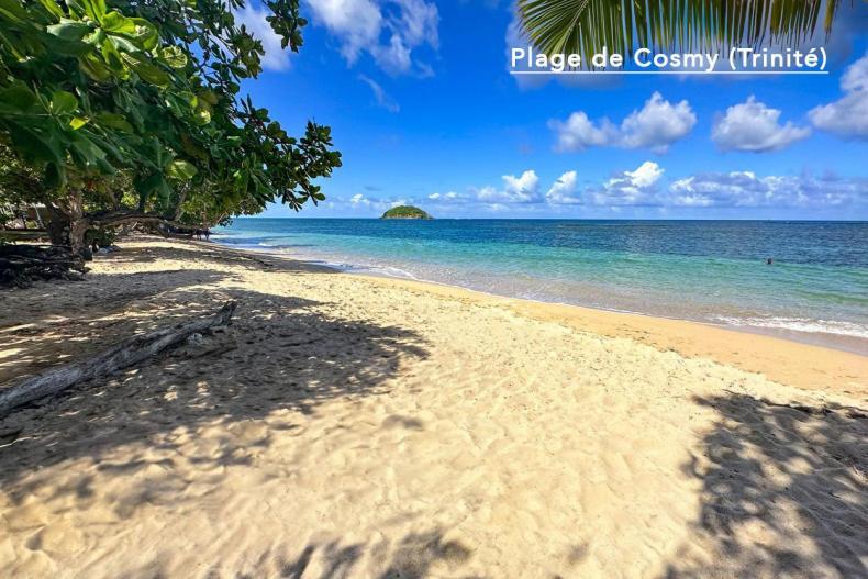 F3 Hibiscus - Piscine Chauffee - Vue Mer - 9 Min De La Plage - Ti Zwezo Paradi La Trinité Exteriör bild