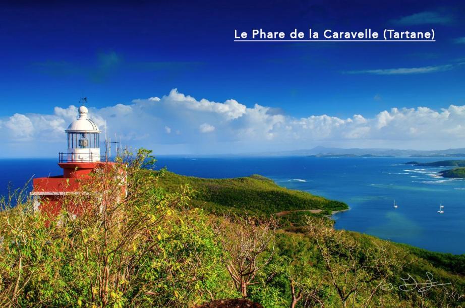 F3 Hibiscus - Piscine Chauffee - Vue Mer - 9 Min De La Plage - Ti Zwezo Paradi La Trinité Exteriör bild